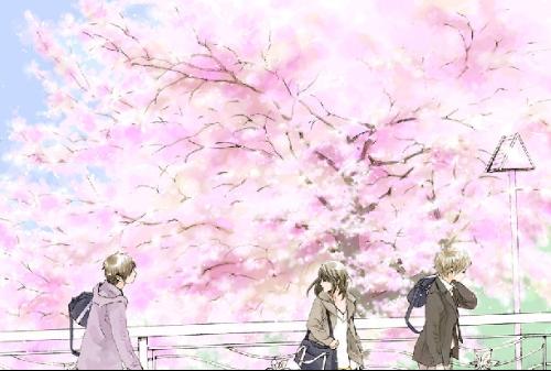 正品蓝导航柠檬导航